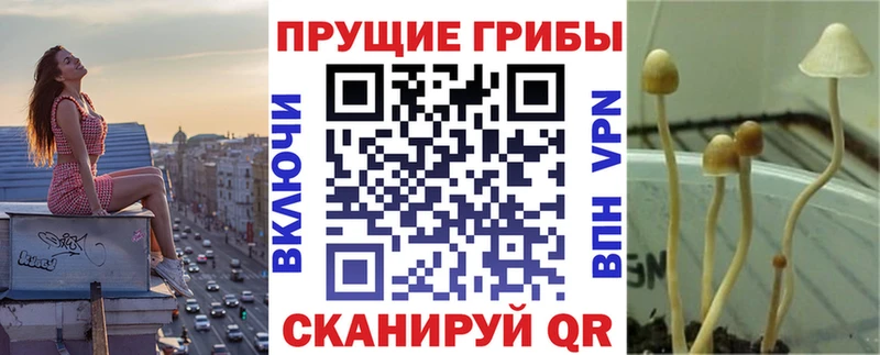 Псилоцибиновые грибы прущие грибы  Высоцк 