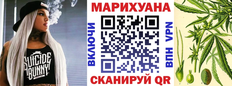 Шишки марихуана SATIVA & INDICA как найти Высоцк